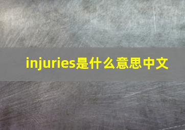 injuries是什么意思中文