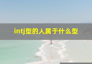 intj型的人属于什么型