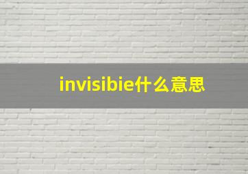 invisibie什么意思