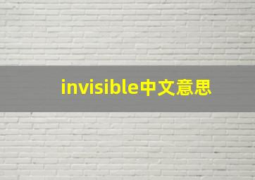 invisible中文意思