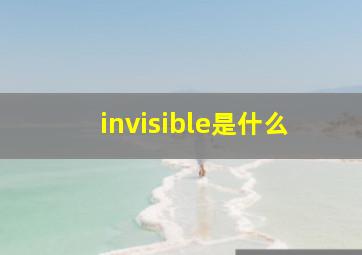 invisible是什么