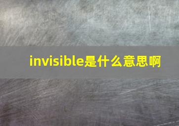 invisible是什么意思啊