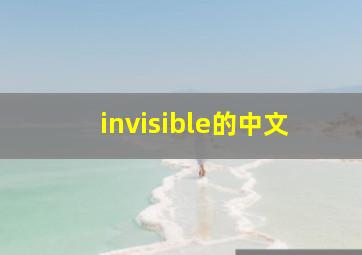 invisible的中文