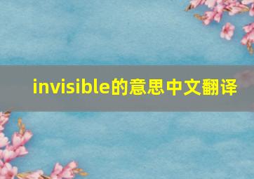 invisible的意思中文翻译