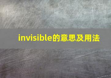 invisible的意思及用法