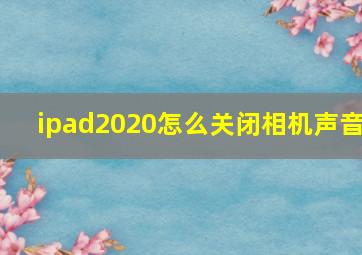 ipad2020怎么关闭相机声音