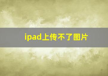 ipad上传不了图片