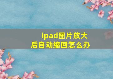 ipad图片放大后自动缩回怎么办