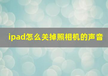 ipad怎么关掉照相机的声音