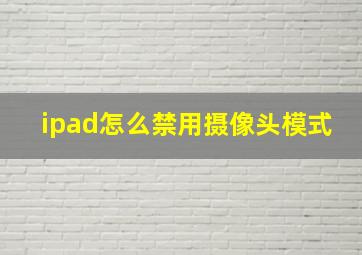 ipad怎么禁用摄像头模式