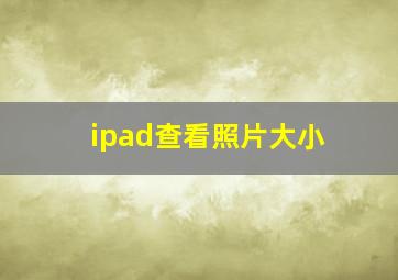 ipad查看照片大小