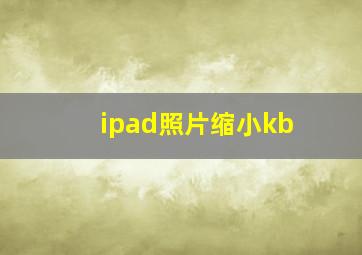 ipad照片缩小kb