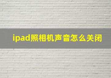 ipad照相机声音怎么关闭