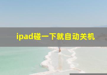 ipad碰一下就自动关机