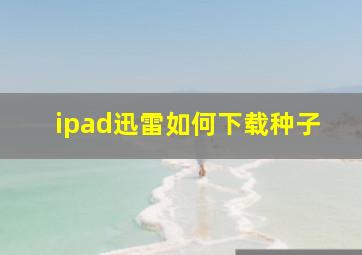 ipad迅雷如何下载种子