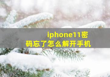 iphone11密码忘了怎么解开手机