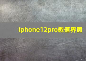 iphone12pro微信界面