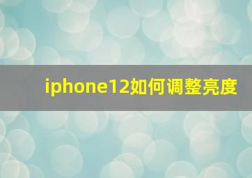 iphone12如何调整亮度