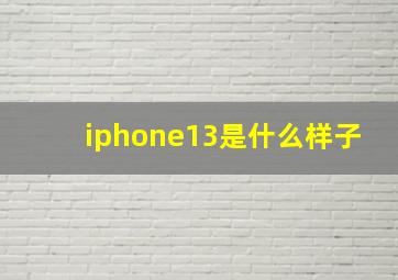 iphone13是什么样子