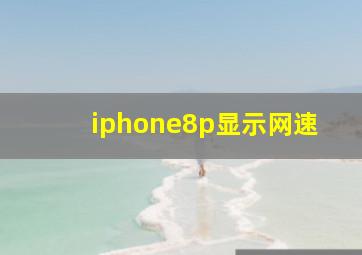 iphone8p显示网速