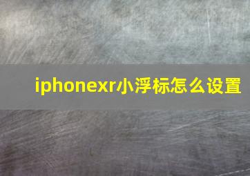 iphonexr小浮标怎么设置