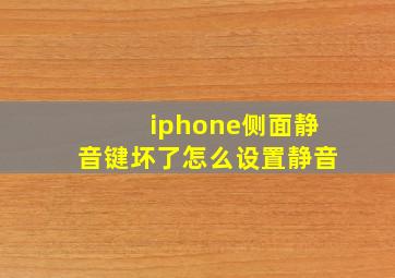 iphone侧面静音键坏了怎么设置静音