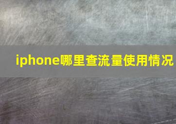 iphone哪里查流量使用情况