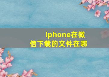 iphone在微信下载的文件在哪