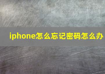 iphone怎么忘记密码怎么办