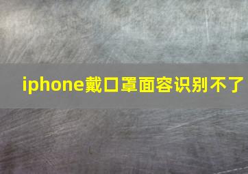 iphone戴口罩面容识别不了