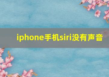 iphone手机siri没有声音