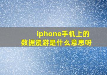 iphone手机上的数据漫游是什么意思呀