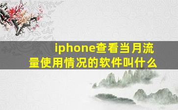 iphone查看当月流量使用情况的软件叫什么