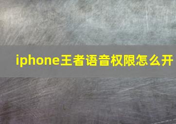 iphone王者语音权限怎么开