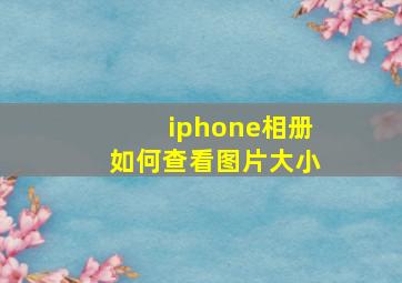 iphone相册如何查看图片大小