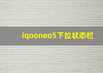 iqooneo5下拉状态栏