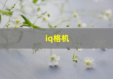 iq格机