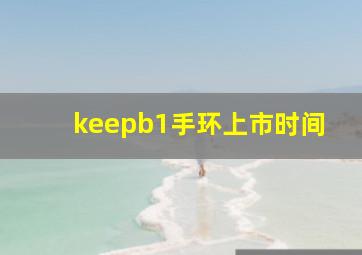 keepb1手环上市时间