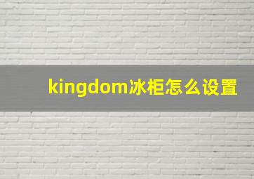 kingdom冰柜怎么设置