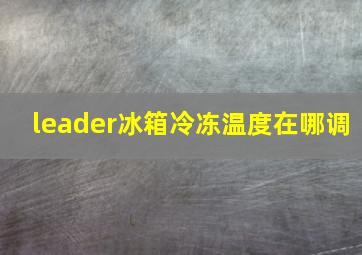 leader冰箱冷冻温度在哪调