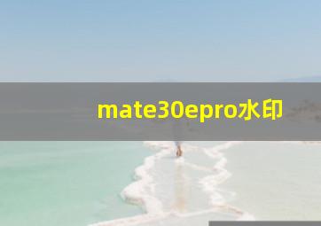 mate30epro水印