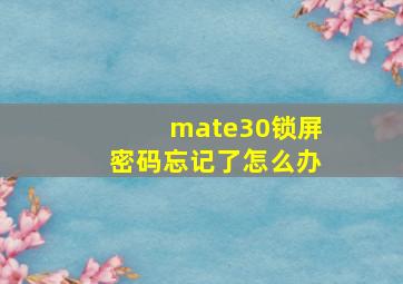 mate30锁屏密码忘记了怎么办