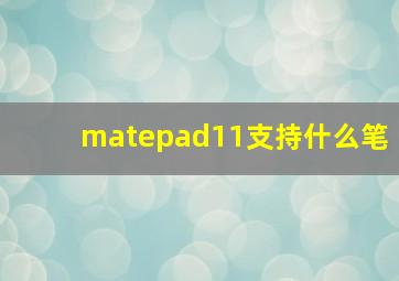 matepad11支持什么笔