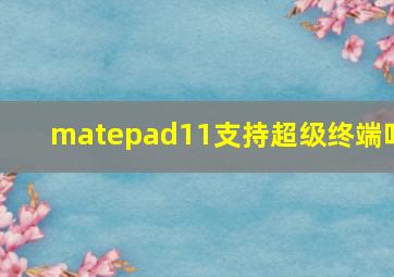 matepad11支持超级终端吗