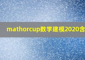 mathorcup数学建模2020含金量