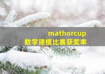 mathorcup数学建模比赛获奖率