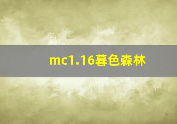 mc1.16暮色森林