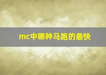 mc中哪种马跑的最快