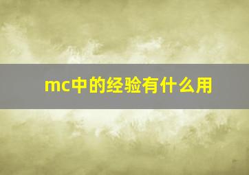 mc中的经验有什么用