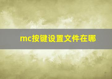 mc按键设置文件在哪